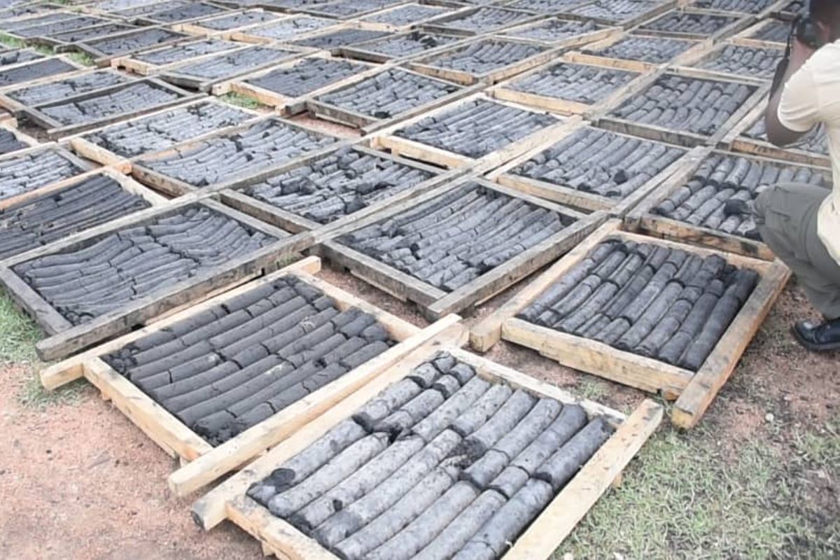 Nishati mbadala yatajwa kuwa suluhu ya uharibifu wa mazingira